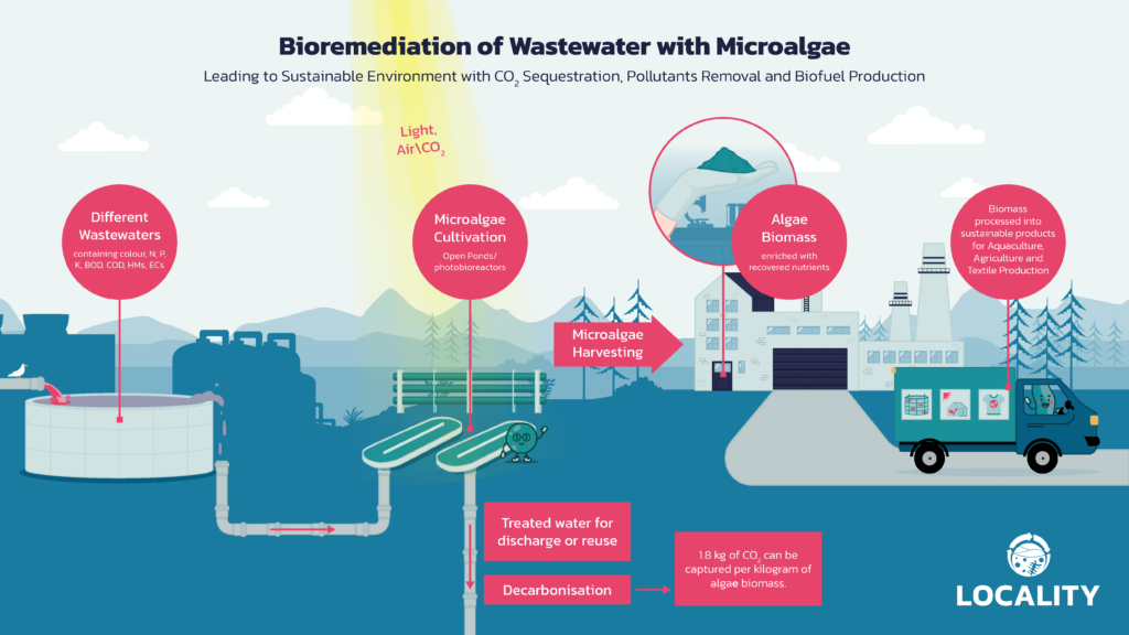250213_Locality_Infographic_Microalgae